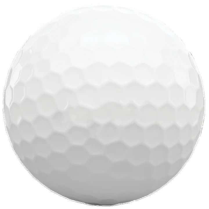 Mesh Bag W/ 1 Dozen Titleist Pro V1 Golf Balls - 1